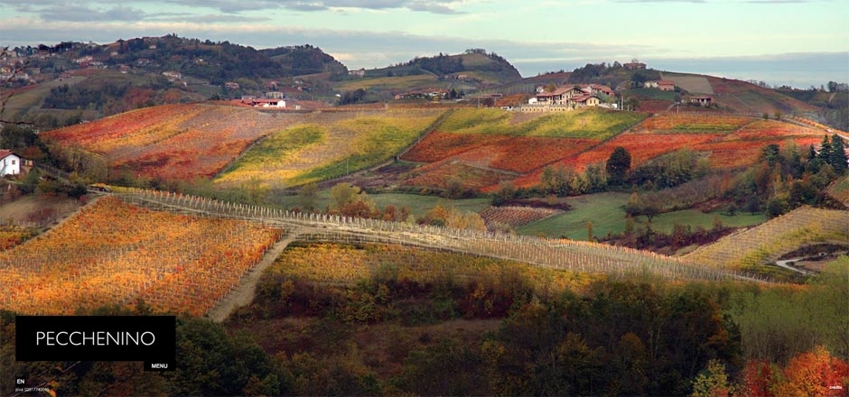 Pecchenino - Dogliani